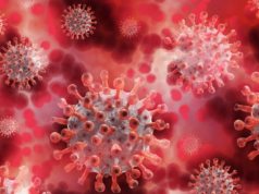 Estudio AIIMS: No hay vínculo entre las vacunas COVID-19 y las muertes súbitas en adultos jóvenes