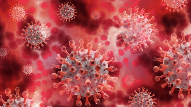 coronavirus-5174671_1280-1765707171617_d.png