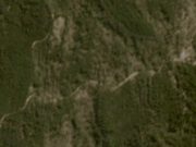 Los troncos frescos apilados en el bosque estatal de Wombat reavivan la preocupación por la eliminación de los árboles caídos