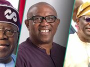 Lista de los políticos nigerianos más influyentes en 2025