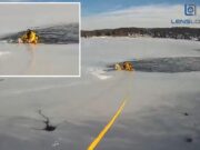 Perro varado en medio de un lago congelado en Nueva Jersey salvado por un atrevido oficial de policía