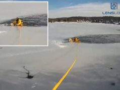 Perro varado en medio de un lago congelado en Nueva Jersey salvado por un atrevido oficial de policía