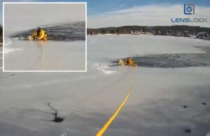 Perro varado en medio de un lago congelado en Nueva Jersey salvado por un atrevido oficial de policía
