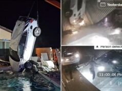Accidente automovilístico en Nevada lanza el vehículo por el aire y el conductor aterriza en la piscina del patio trasero
