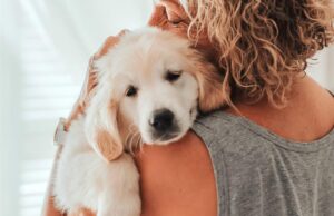 Querida Abby: Mi amiga y yo no nos hablamos porque ella se negó a cuidar a mi perro.