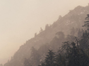 Condiciones similares a olas de frío en el interior de Maharashtra; Ahilyanagar el más frío