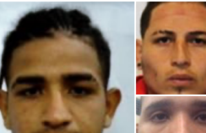 Tres extranjeros ilegales acusados de golpear a un agente de ICE con una pala en Minneapolis