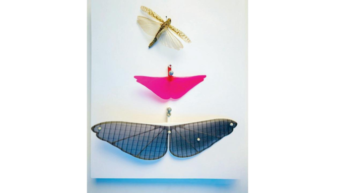 Las alas de saltamontes inspiran robots voladores de baja potencia