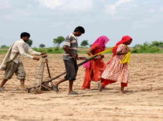 Maharashtra: Se han reportado más de 5.000 suicidios de agricultores en la región de Marathwada en 5 años