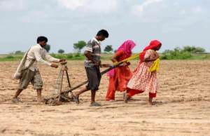 Maharashtra: Se han reportado más de 5.000 suicidios de agricultores en la región de Marathwada en 5 años