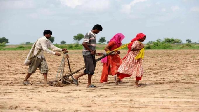 Maharashtra: Se han reportado más de 5.000 suicidios de agricultores en la región de Marathwada en 5 años