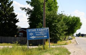 A un granjero de Brighton se le prohíbe traer trabajadores inmigrantes debido al robo desenfrenado de salarios