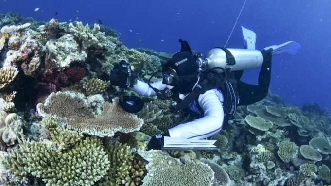 Australia defiende los esfuerzos de protección de los arrecifes para evitar la inclusión en la lista “en peligro”