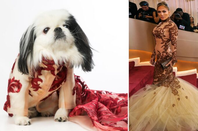 Perros de Nueva York recrean looks de celebridades de la alfombra roja de los Globos de Oro en el primer ‘Golden Paws’