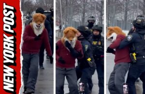 Mire al zorro bailarín cómo ICE derriba a un manifestante (Video)