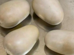 La Aduana de Mumbai incauta diamantes, oro y drogas en el aeropuerto