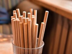 Legisladores de Florida toman medidas para prohibir las pajitas de papel en los restaurantes por riesgos para la salud