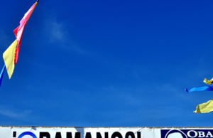 Los grupos radicales extranjeros que ayudaron a elegir a Obama y cuyos restos siguen siendo un polo de campaña del Comité Nacional Demócrata