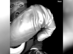 Hombre interrogado en la búsqueda de Nancy Guthrie liberado por la policía de EE. UU.