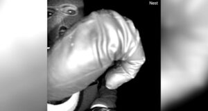 Hombre interrogado en la búsqueda de Nancy Guthrie liberado por la policía de EE. UU.