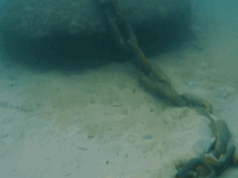 Nuevas instalaciones respetuosas con el medio ambiente permiten que prosperen las praderas marinas