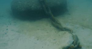 Nuevas instalaciones respetuosas con el medio ambiente permiten que prosperen las praderas marinas