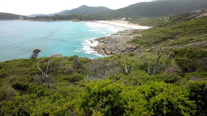 La mejor playa de Australia ‘en peligro de ser amada hasta la muerte’ por el exceso de turismo después de la inclusión en Lonely Planet
