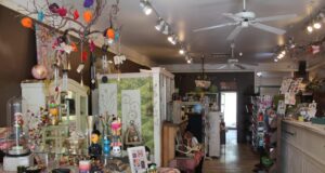 5 tiendas de regalos Green Boxes cierran ubicaciones en Platt Park y Union Station