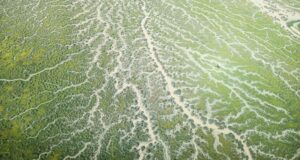 Verano extremo de incendios e inundaciones seguido de riesgo de incendios forestales en otoño