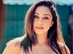 Abigail Pande sobre el papel orientado al espectáculo en la televisión: “O eres un bahu o un vampiro”