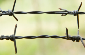 Encuestas en Nepal: los puntos fronterizos con India se cerrarán durante 72 horas