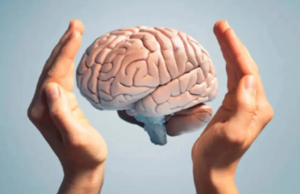 Los científicos encuentran una pista sobre la evolución del cerebro humano en la longitud de los dedos: estudio