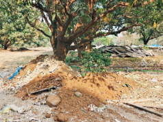 La zona ecosensible del PNGS enfrenta nuevas preocupaciones por los vertidos de residuos de construcción