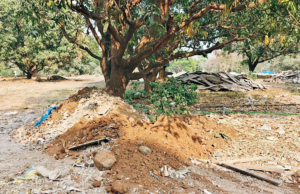 La zona ecosensible del PNGS enfrenta nuevas preocupaciones por los vertidos de residuos de construcción