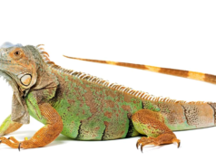 ¿Vas por unos segundos?