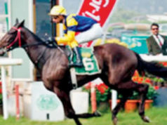 Lady Scarlet podría eclipsar a Buckingham y Blue Jet en el enfrentamiento de PBMM