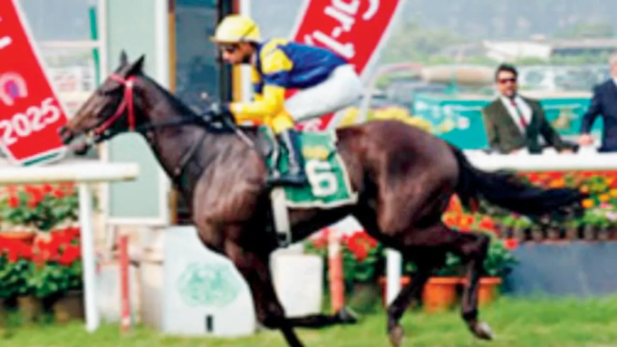 Lady Scarlet podría eclipsar a Buckingham y Blue Jet en el enfrentamiento de PBMM