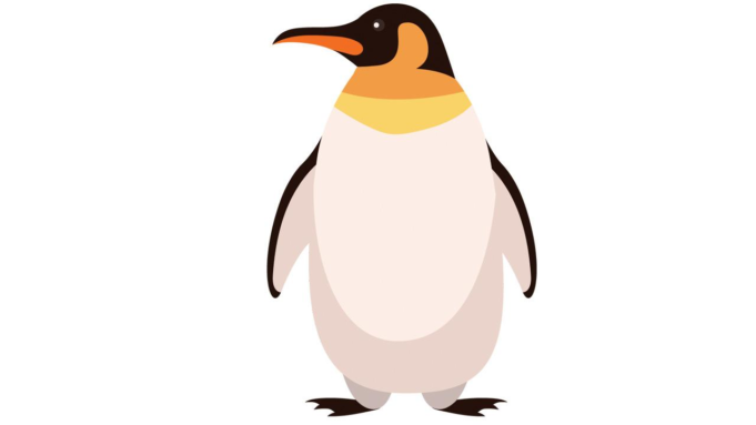 ¿Pero por qué, pingüino? Mumbaikars y expertos analizan las tendencias de videos virales en línea