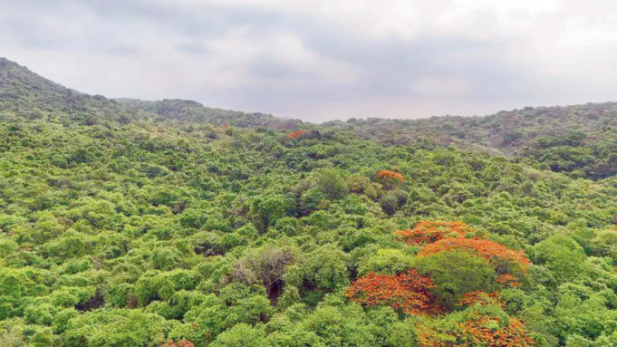 Thane: El departamento forestal se opone al permiso temporal de minería cerca del SGNP