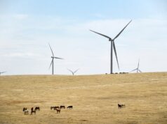 Los reguladores de Colorado mantienen los proyectos de energía renovable de Xcel en vía rápida