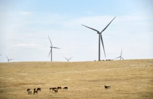 Los reguladores de Colorado mantienen los proyectos de energía renovable de Xcel en vía rápida