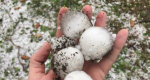 Las altas tasas de seguros de Colorado impulsadas por las reclamaciones por granizo