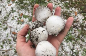 Las altas tasas de seguros de Colorado impulsadas por las reclamaciones por granizo