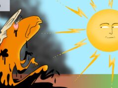 La contribución de Donald Trump a las energías renovables