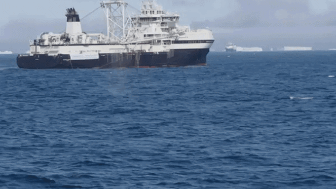 Los humanos toman alimento de la boca de las ballenas