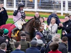 Festival de Cheltenham 2026: Home By The Lee gana Stayers’ Hurdle, Heart Wood triunfa en Ryanair Chase, como sucedió