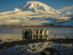 El equipo de modelado climático recortado, generando temores por las predicciones climáticas de Australia