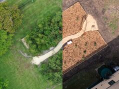 El creciente movimiento para plantar densos bosques en zonas urbanas