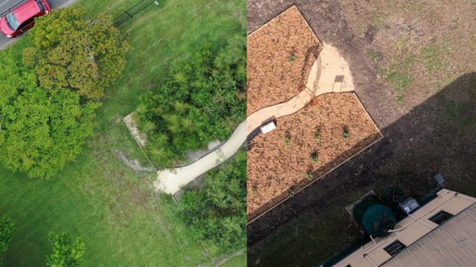 El creciente movimiento para plantar densos bosques en zonas urbanas
