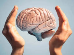 Los cambios en el centro de la memoria del cerebro ante el dolor prolongado influyen en la depresión: estudio